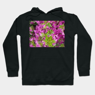 purple flowers Hoodie